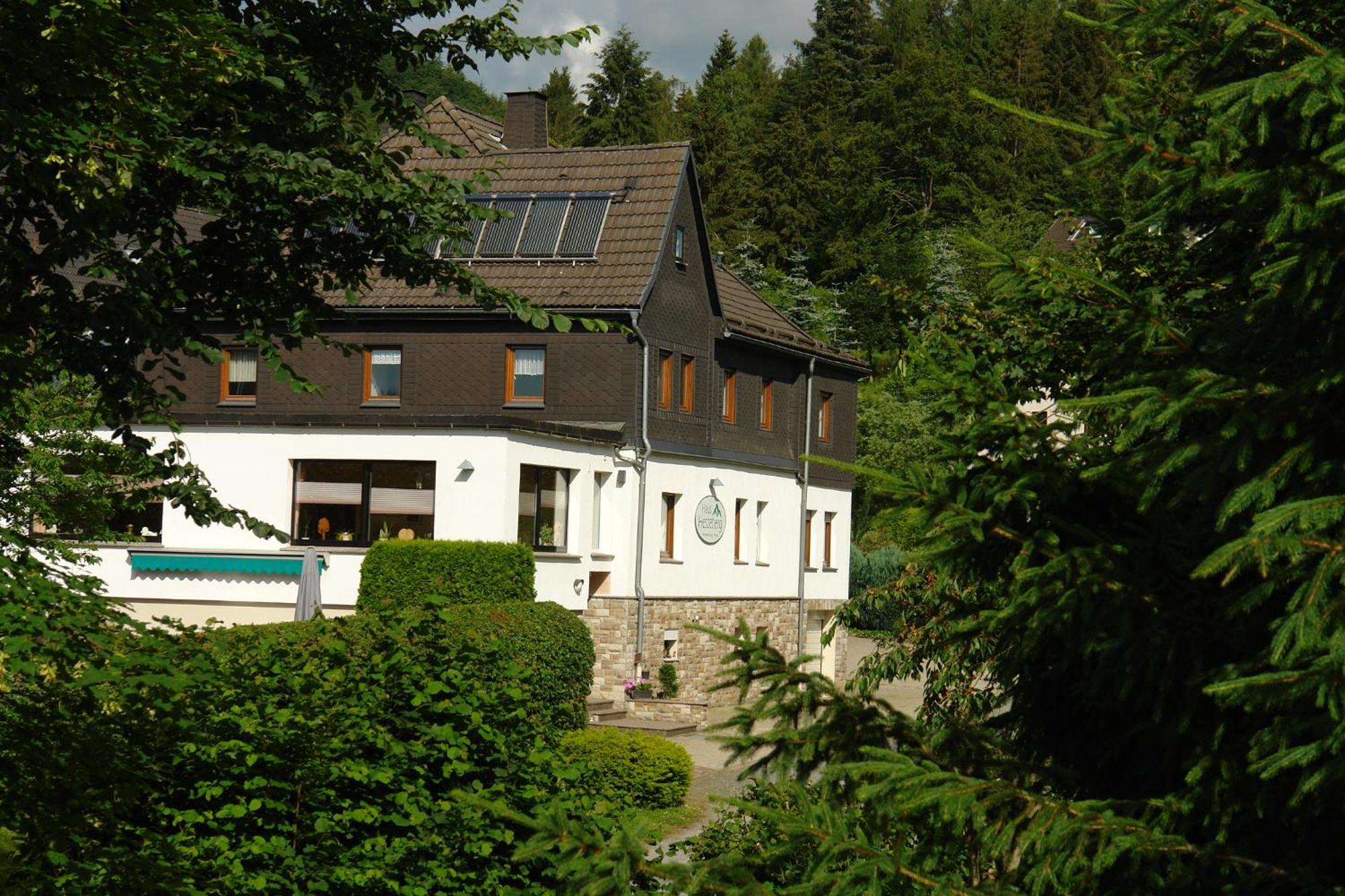 Haus Hesseberg Hotel Medebach Exterior foto